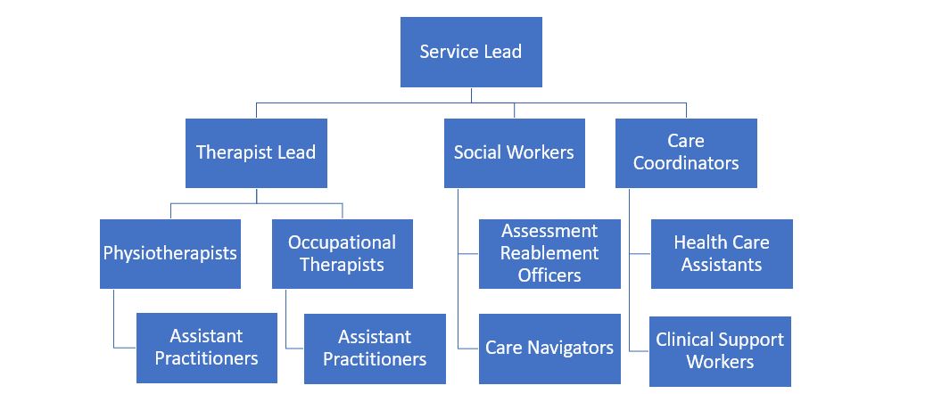 Graphic depicting the structure of the HomeFirst Service