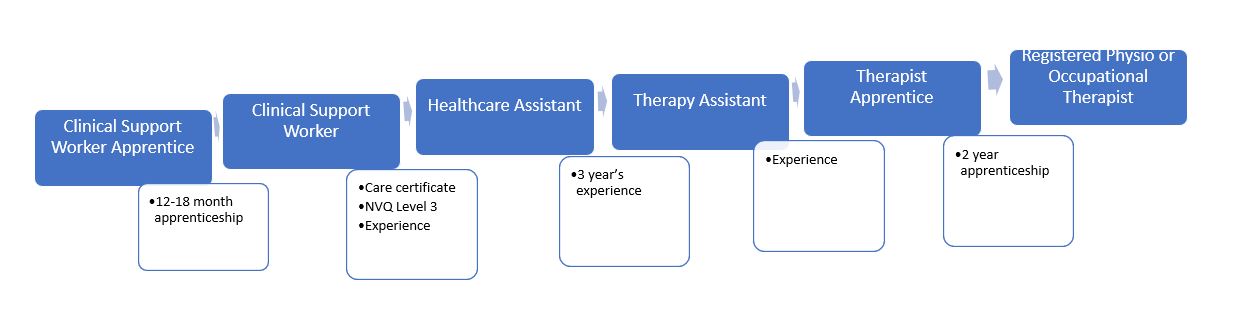 Graphic depicting the career progression of a HCA