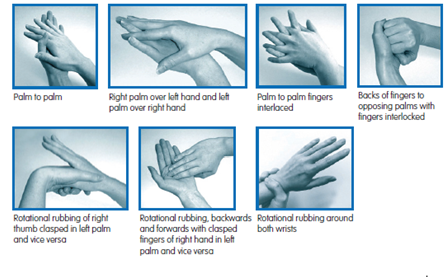 7 steps of hand hygiene