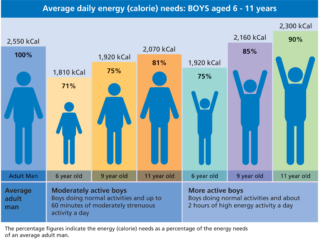 Graphic showing average daily energy (calorie) needs for boys aged 6-11 years.