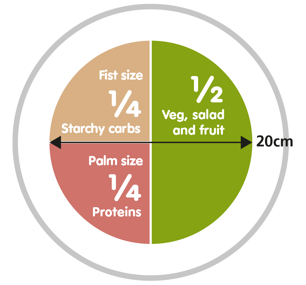 A pictorial summary of the main food groups and their recommended proportions for a healthy diet.