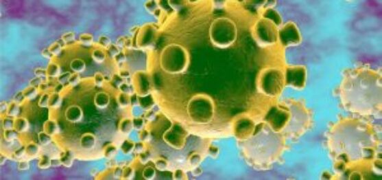 Zoomed in bacteria or virus